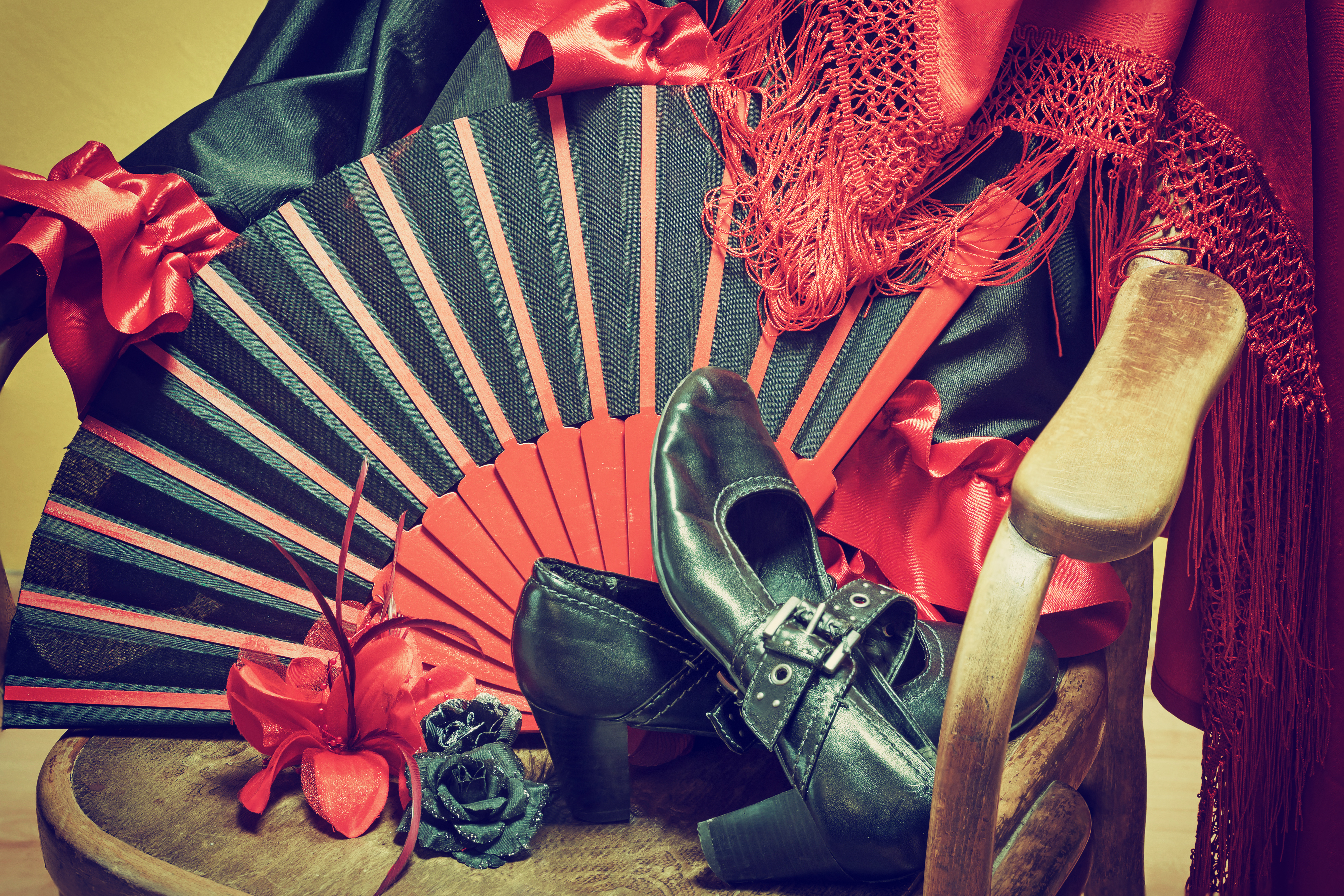 Flamencos fortryllende verden