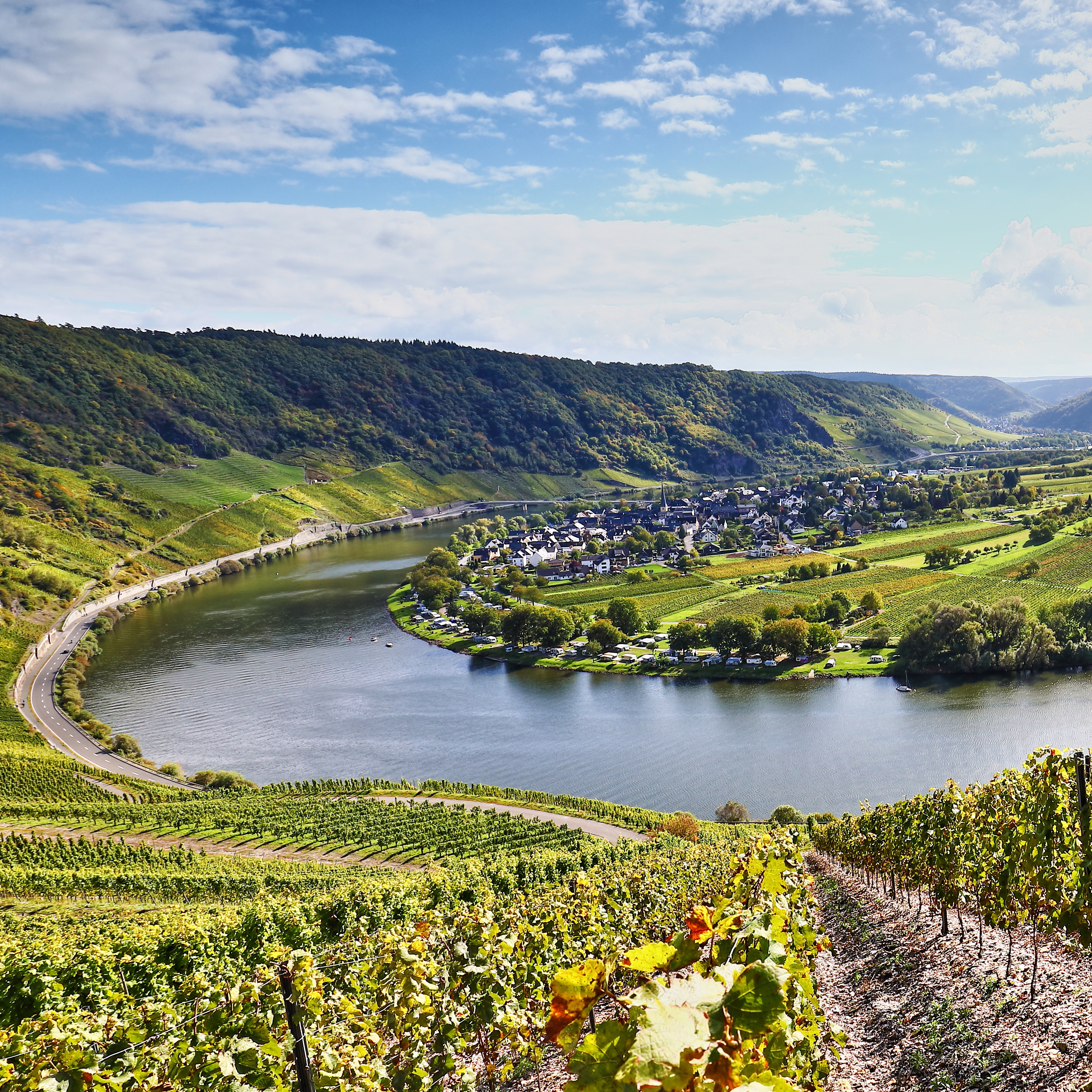 Mosel