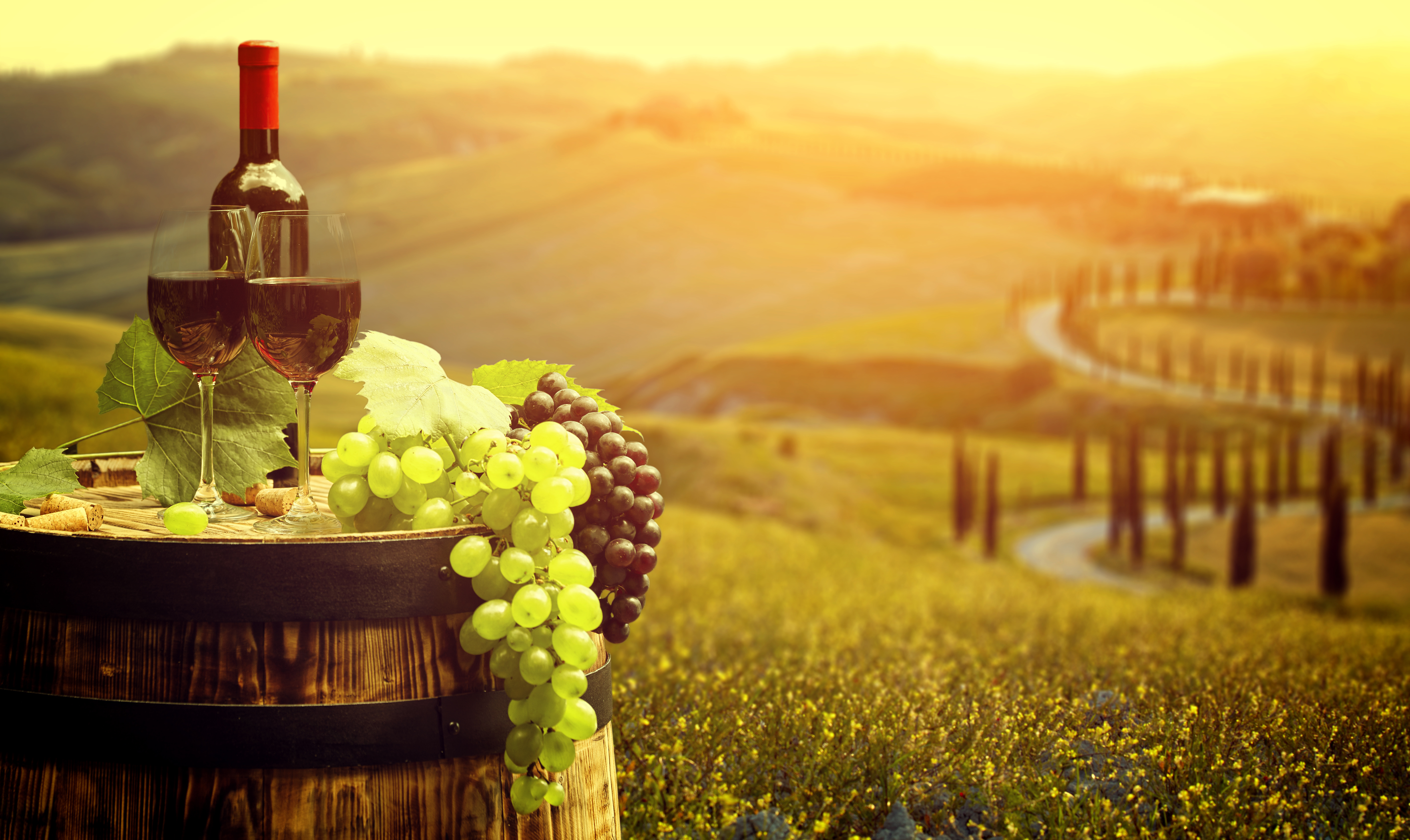 Vin i Italien