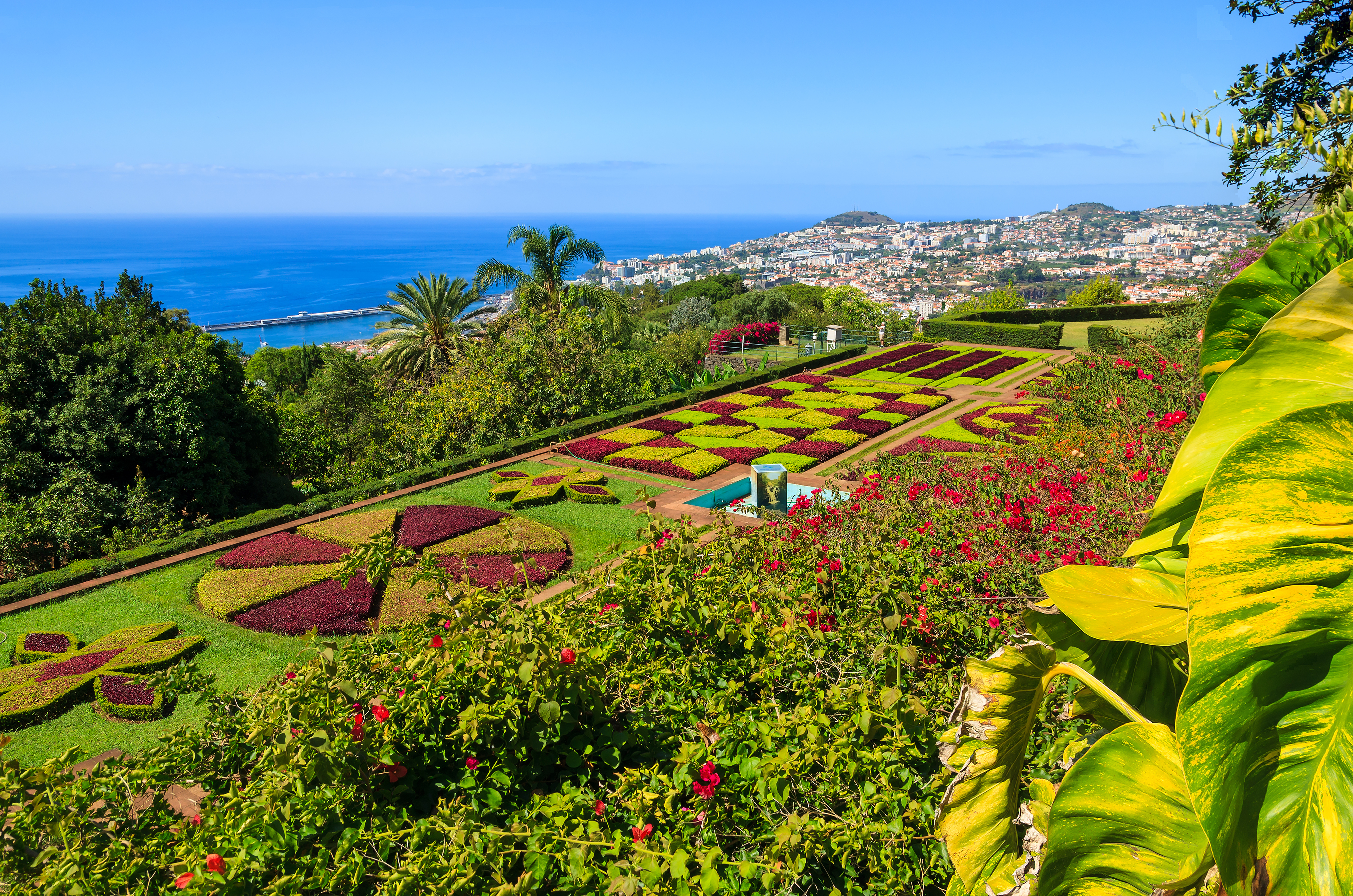 Botanisk Have, Madeira 