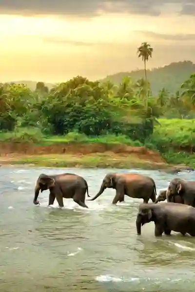 Sri Lanka