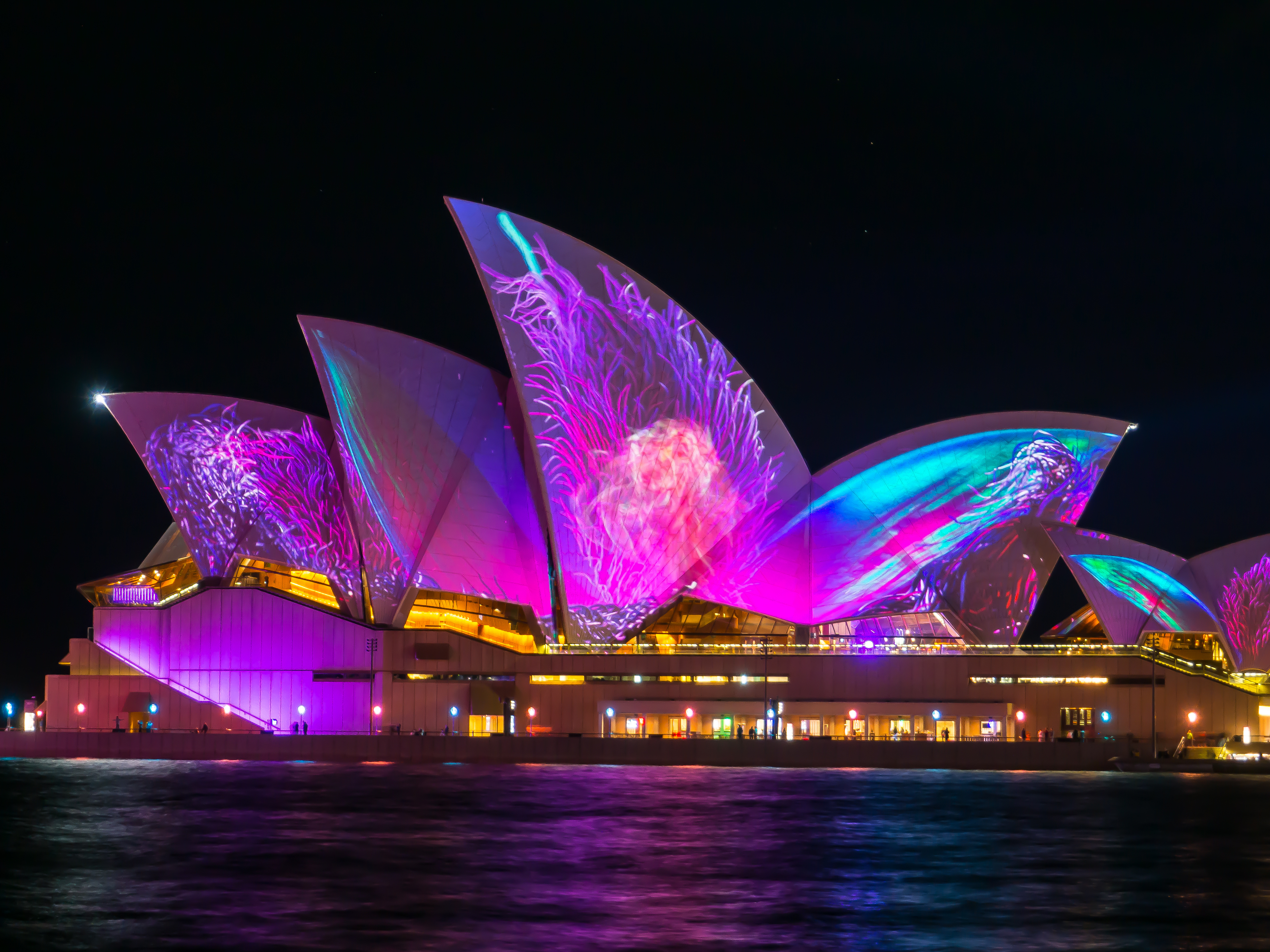 Sydney by night 