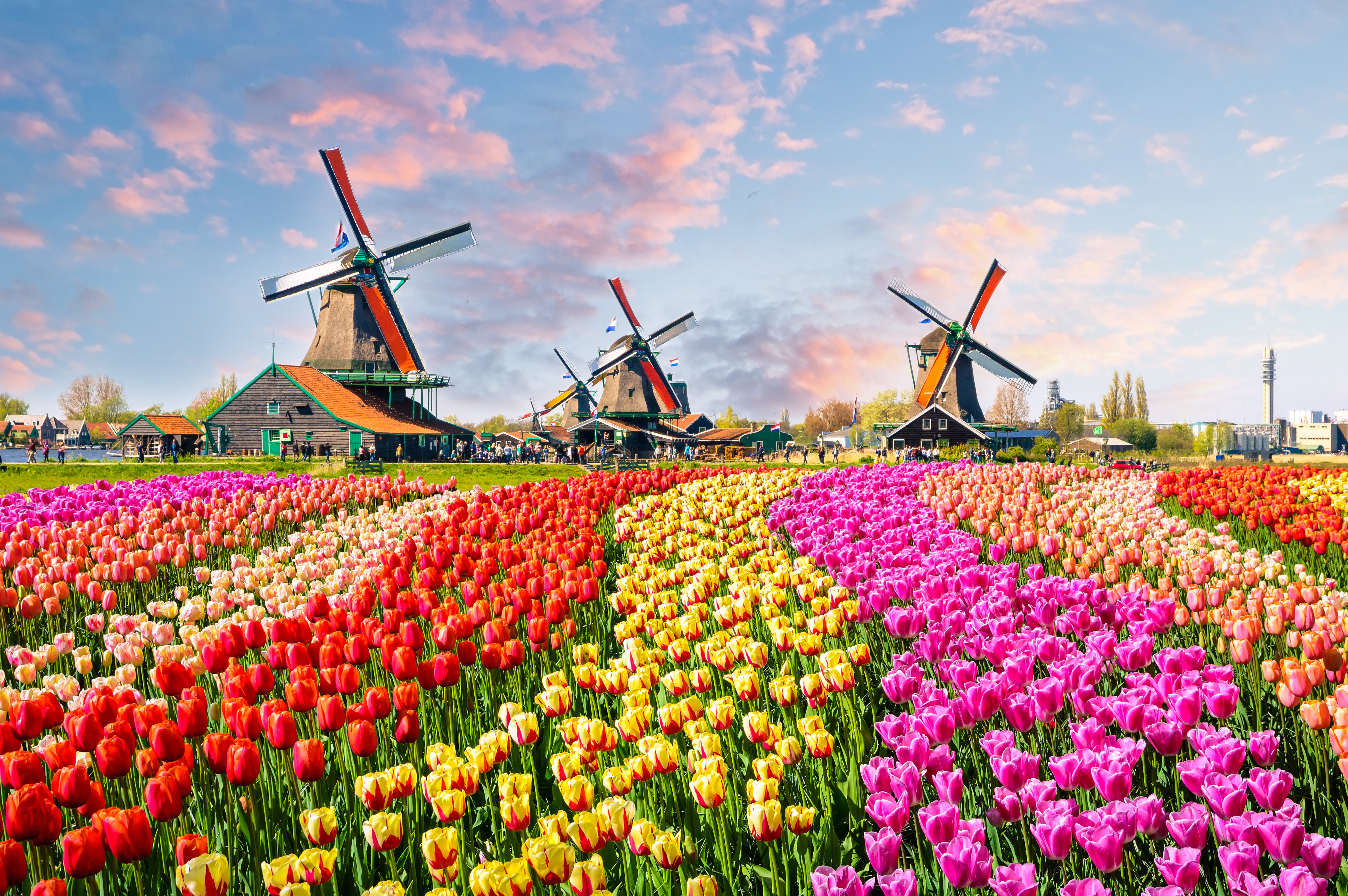 Zaanse Schans 