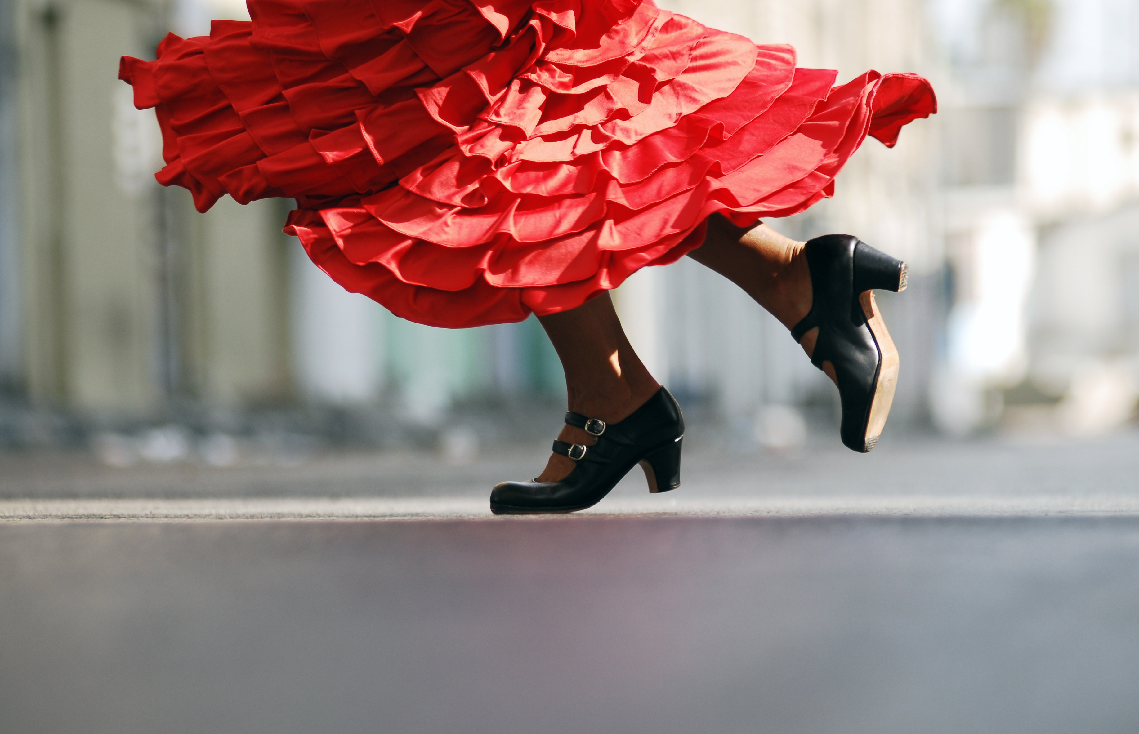 Flamencos fortryllende verden