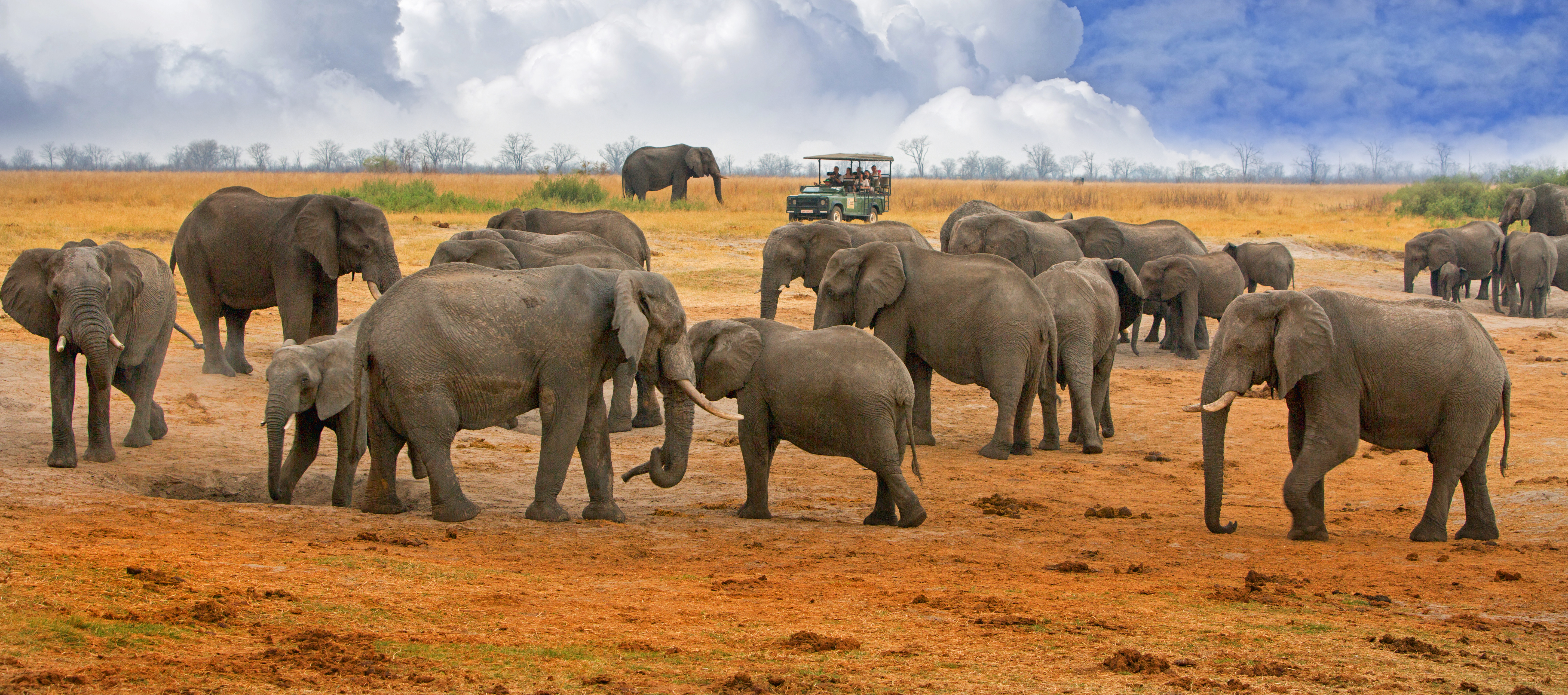 Hwange Nationalpark