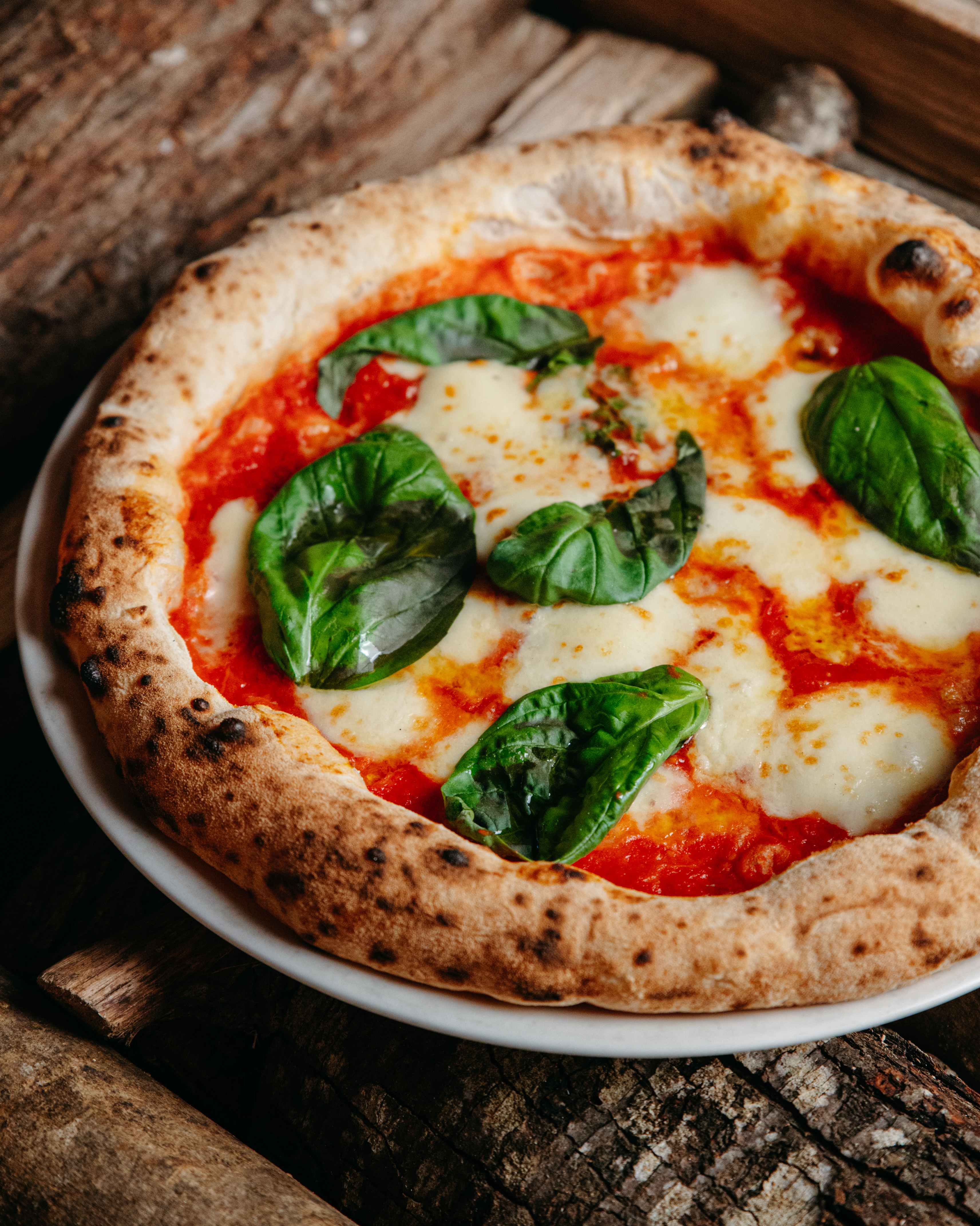 Pizza Margherita