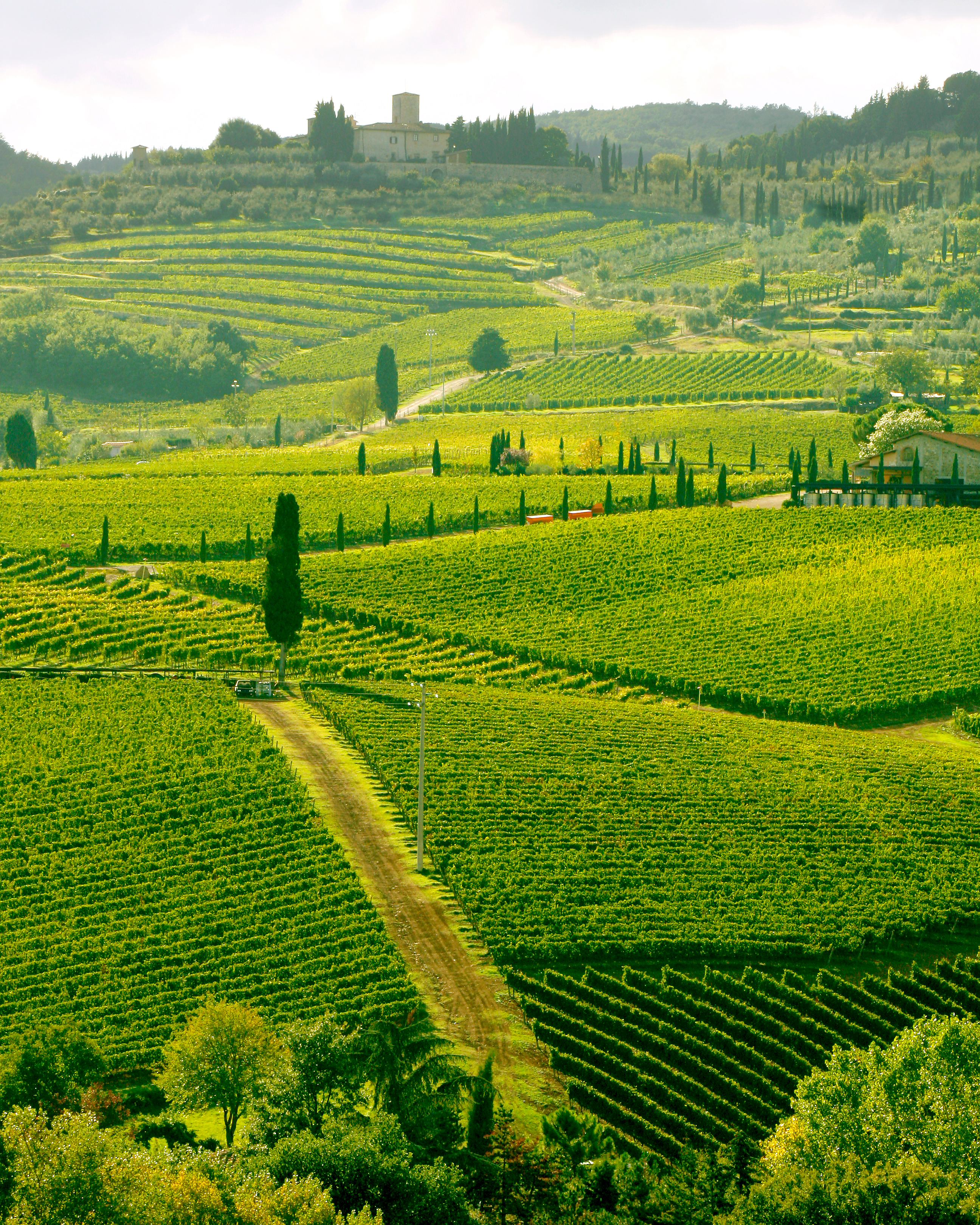 Toscana