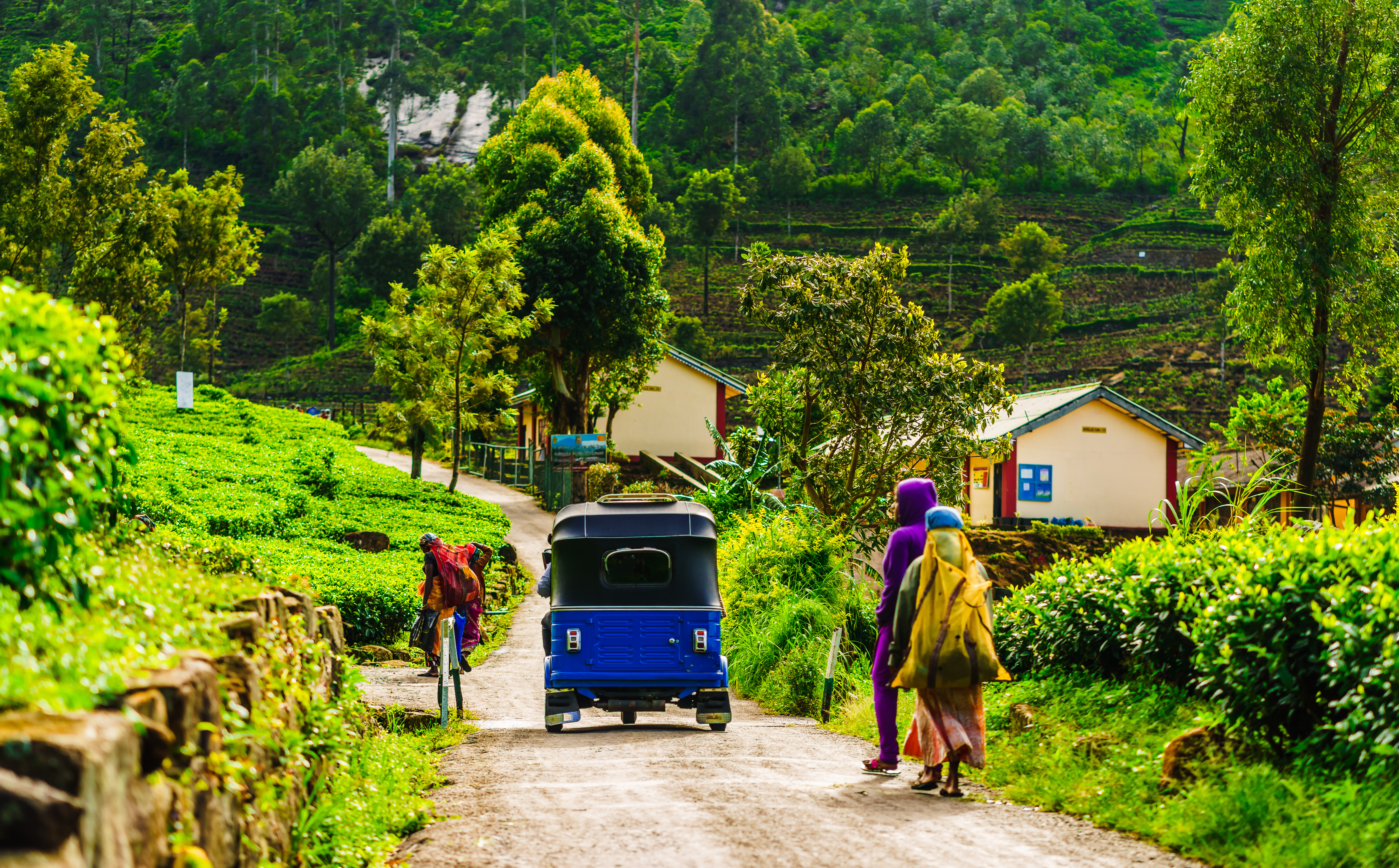 Tuk Tuk