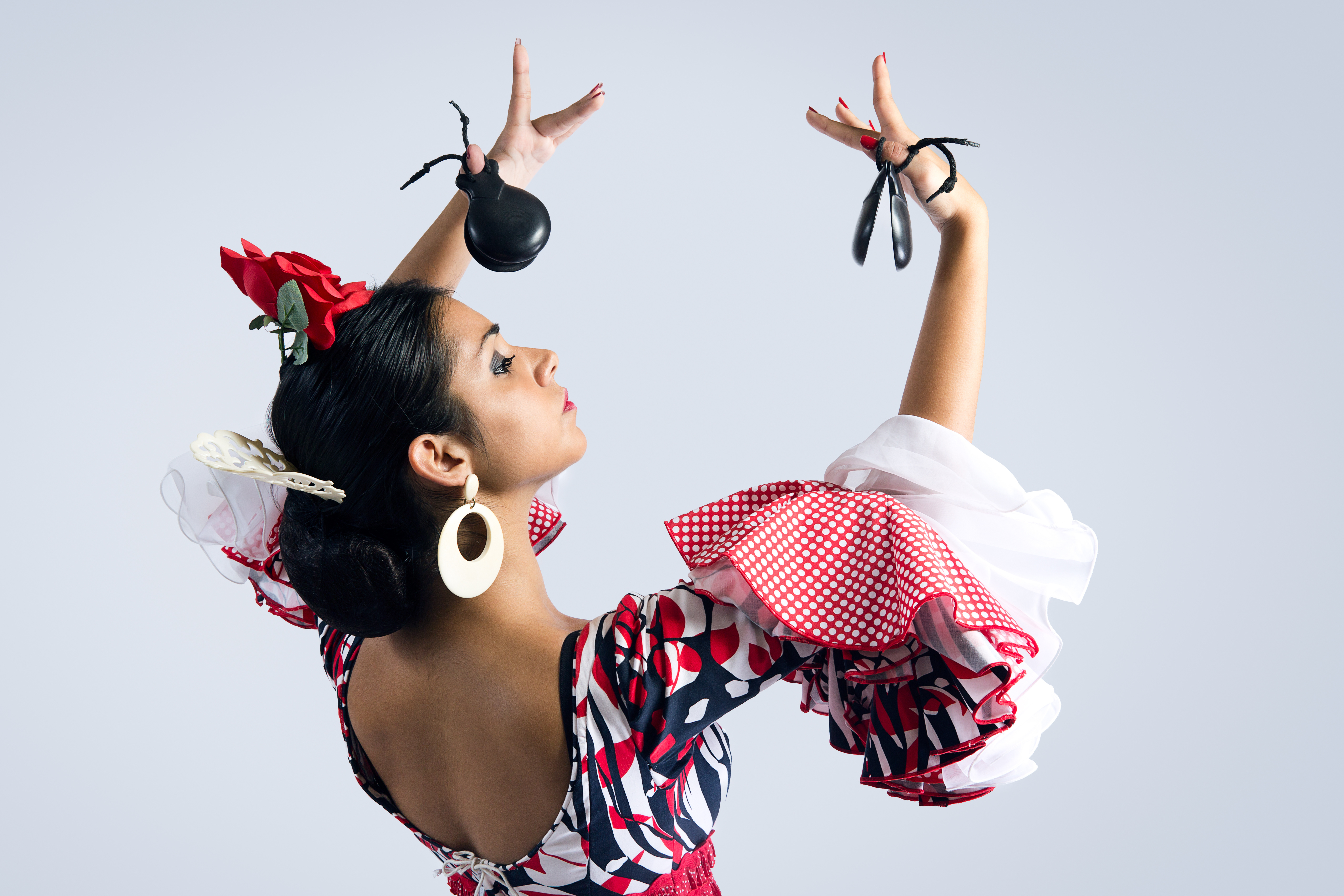 Flamencos fortryllende verden