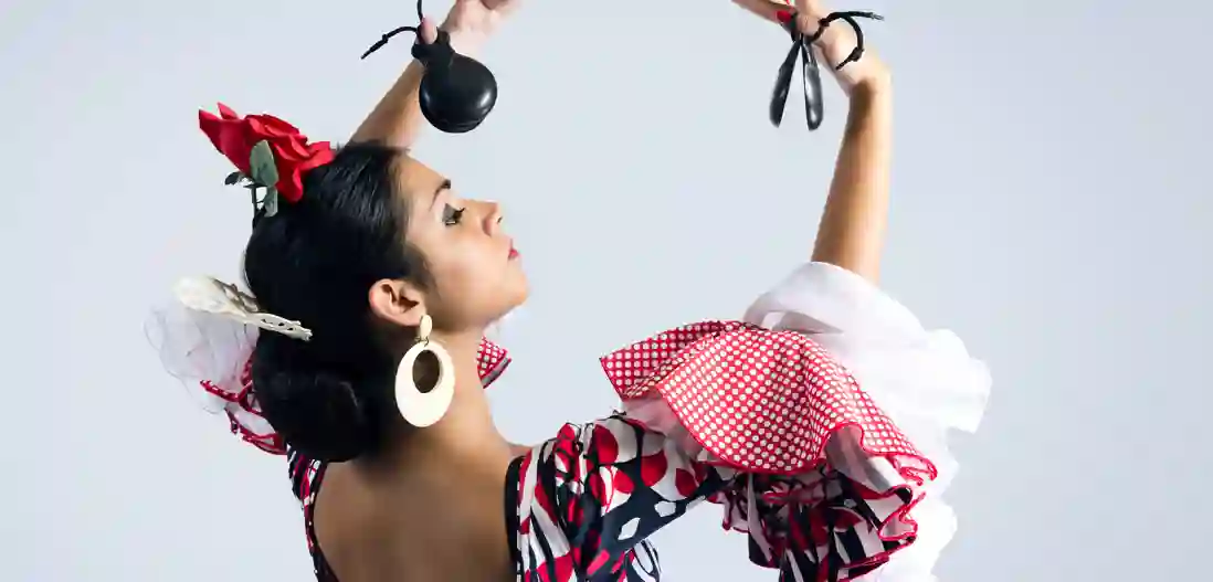 Flamencos fortryllende verden