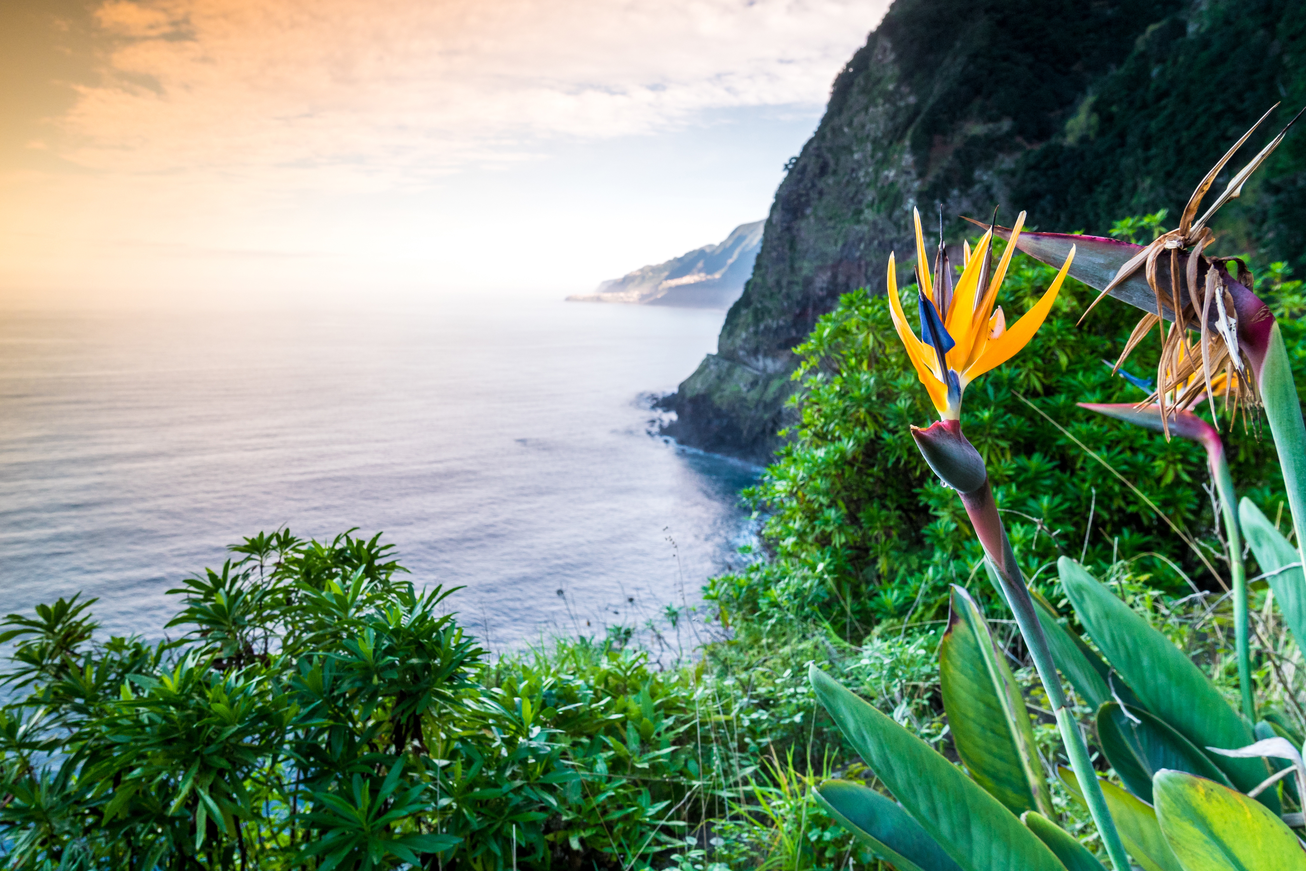 Madeira