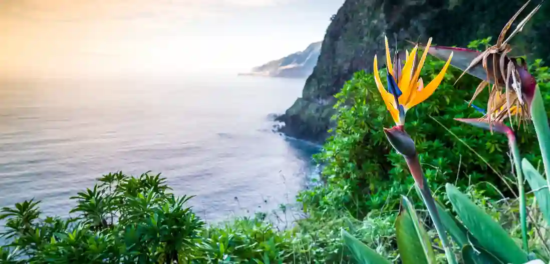 Madeira